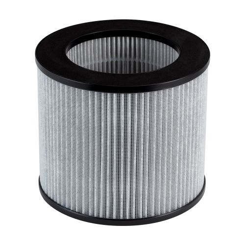 Bissell® Sanitaire® Pleated and Carbon Filter for MyAir